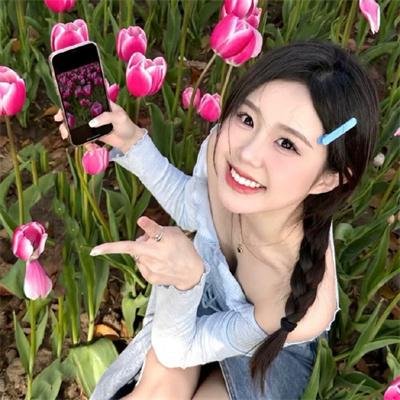破产姐妹第二季